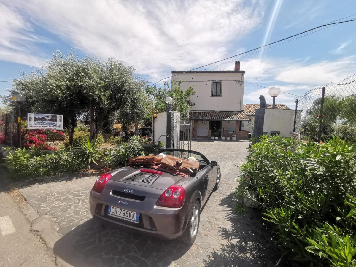 La Fattoria Dei Nonni Konuk evi Paterno  Dış mekan fotoğraf