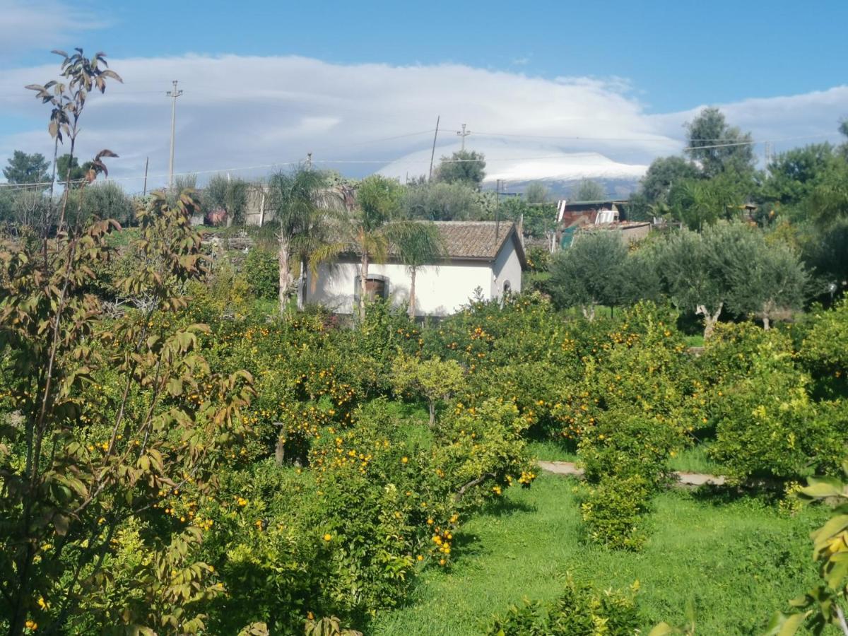 La Fattoria Dei Nonni Konuk evi Paterno  Dış mekan fotoğraf