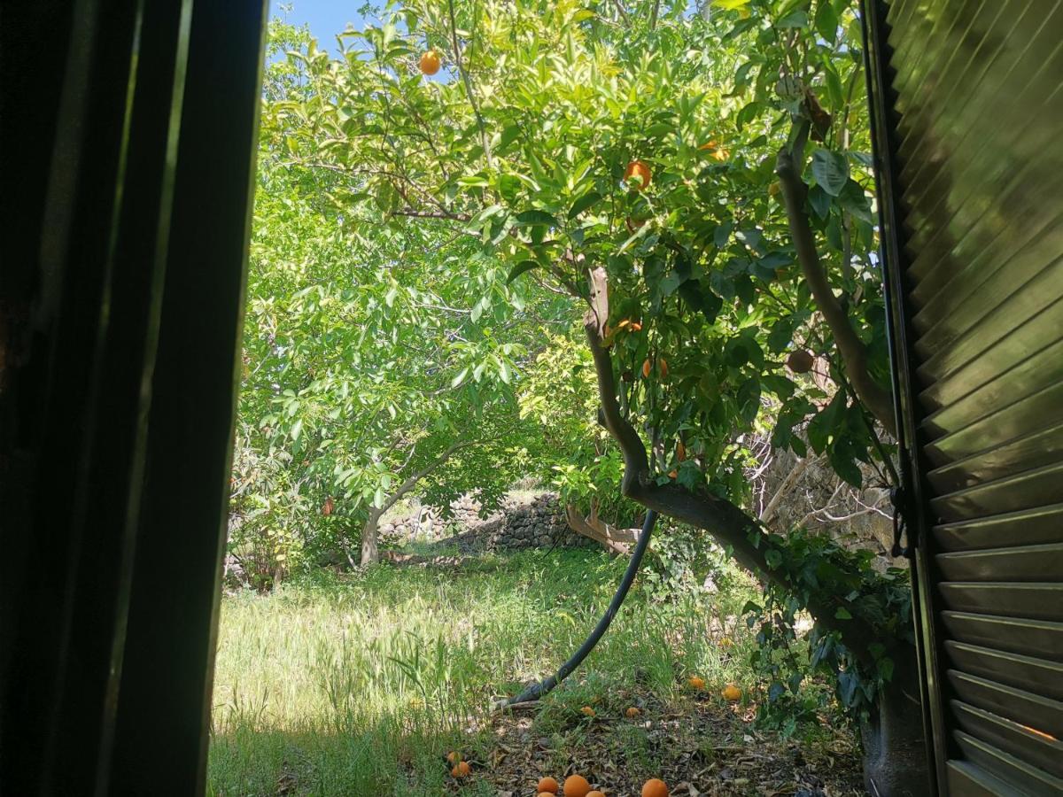 La Fattoria Dei Nonni Konuk evi Paterno  Dış mekan fotoğraf