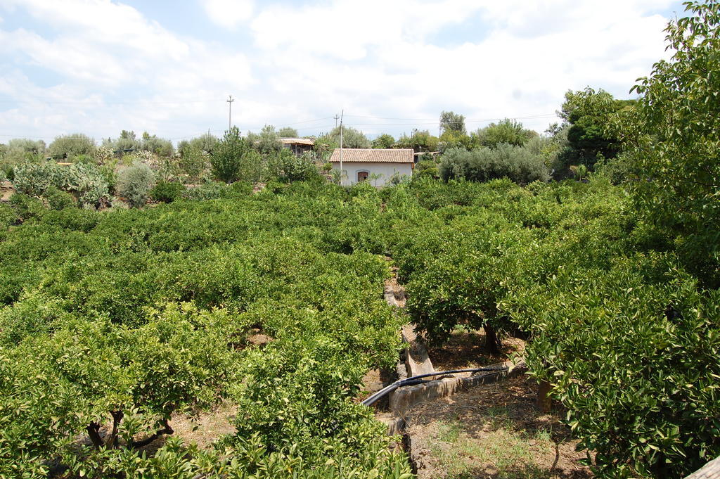 La Fattoria Dei Nonni Konuk evi Paterno  Dış mekan fotoğraf